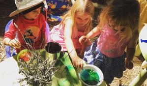 Preschool Gardening