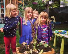 Preschool Gardening